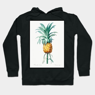 Pineapple - Ananas Comosus Botanical Illustration Hoodie